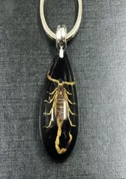 Fashion Jewellery YQTDMY Key Chains 17 pcs real insect gold scorpion key ring black drop design keychain1304554