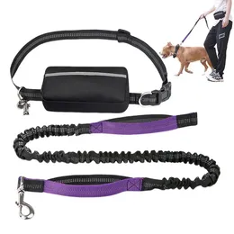 Dog Collars Walking Belt Waist Lead Reflective Zipper Pouch Dual Padded Handles And Bungee For Jogging Running Your