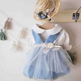 Dog Apparel INS Spring Summer Suit with Pure Cotton White Shirt Dress Pink Belt Skirt Blue Mesh Short Style Pet Clothes H240506