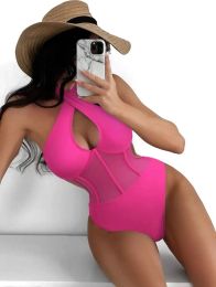 Suits Sexy See Through One Piece Swimsuit 2024 Women Halter Corss Underwire Tummy Control Swimwear Solid Black Hot Pink Bathing Suits