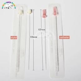 Housebreaking Cat Catheters with Stylet Cat Urinary Catheter Sterile Urethral Stone Catheter 1.0/1.3mm Suture Hole Veterinary Supplier