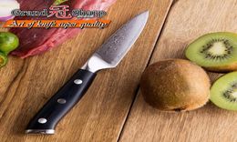 GRANDSHARP 35039039 Damascus Paring knife Japanese Damascus Steel VG10 Knife High Carbon Peeling Fruit Kitchen Knife with G6523691