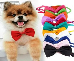 Adjustable Pet Dog Tie Dog Neck Ties Solid Color Necktie Accessories Bow Tie For Puppy Cat3745368