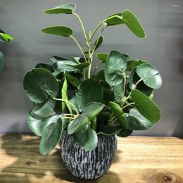 Decorative Flowers Low Maintenance Real Looking Fiddle Leaf Busy Individuals Small Faux Trees With Cement Planter D25 32