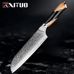 Pro Damascus Santoku Knife 7 inch Kitchen Knife VG10 Super Damascus Steel Sharp Chopping Knife for Meat Vegetable Fruit