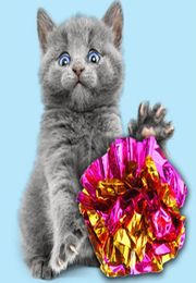 Cat Toy Tin foil Colourful Ring Paper Shiny Interactive Sound Ball Crinkly Balls Cats Sound Toys Pet Play Balls VTKY23517684156