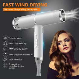 1000W Professional Hair Dryer Infrared Negative Ionic Blow Dryer Cold Wind Salon Hair Styler Tool Hair Electric Drier Blower 240430