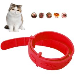 Houses Pet Dog Cat Collar Anti Flea Mite Lice Insecticide Mosquito Outdoor Adjustable Pet Collar Cat Accessories Longterm Protection