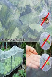 Other Garden Supplies Large Crop Plant Protection Net Netting Bird Pest Insect Animal Vegetable Care Big Mesh Nets 25x10m Fast8302050