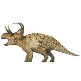 Other Toys Macharoceratops PVC Dinosaur Action Diagram Model Simulation Micro Dinosaur Diagram Animal Doll Education MaterialsL240502