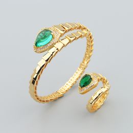 Green Snake 18K Gold Plated Fashion Charm Bracelet Bracelets Silver para mulheres, filha Mã