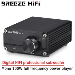 Amplifier BREEZE HIFI B3 Mono 100W Enthusiast Grade Digital HIFI Professional Subwoofer Low Frequency Full Frequency Amplifier High Power