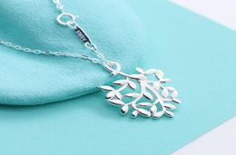 American Sterling Silver Branch Pendant Necklace Women Peretti Charm Chain Fashion Wedding Party Hollow Leaf Necklaces7401801