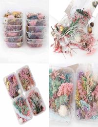 1 Box Real Dried Flower Dry Plants For Aromatherapy Candle Epoxy Resin Pendant Necklace Jewelry Making Craft DIY Accessories 1309 8793402