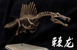 Other Toys 1/20 Spinosaurus Skeleton Model Dinosaur Animal Atlas Spinosaurus Education GK Decorative Gift Toy PaintingL240502