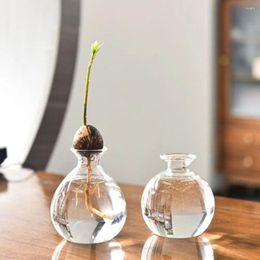 Vases Creative Avocado Seed Vase For Growing Kit Plant Glass With Stickers Gift Gardening Lovers