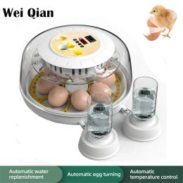 Accessories 8 Clear Egg Hatching Incubator with Automatic Egg Turning and Auto Water Replenishment for Chicken Eggs and Quail Egg