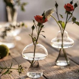 Vases Mini Mushroom Glass Vase Ins Style Hydroponic Transparent Dining Table Small Flower Terrarium Living Room Decoration Japan
