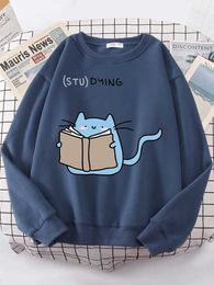 Moletom de moletons masculinos moletons femininos adoram um gato de gato fofo top womens coreano moda de tamanho grande camiseta kawaii animal 2022 nova feminina capuz Q240506