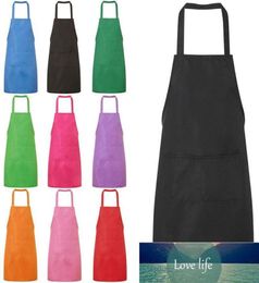 Colorful Cooking Apron Kitchen Cooking Keep the Clothes Clean Sleeveless and Convenient Custom Gift Adult Bibs Universal Ap19885118