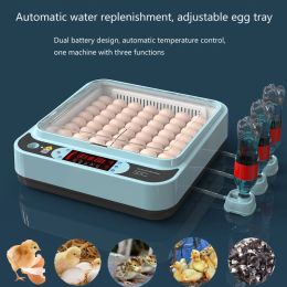 Accessories 64pcs Egg Inccubator Hatchery Mini Digital Temperature Brooder Farm Brooder Quail Egg Hatcher Incubator Equipment EU US UK Plug