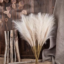 Decorative Flowers 2-fork Simulated Reed (3PC) Beige Po Shoot Decoration Landscape Furnishings For Home