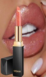 HANDAIYAN Brand Professional Lips Makeup Waterproof Long Lasting Pigment Nude Pink Mermaid Shimmer Lipstick Luxury Makeup2006861