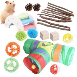 Toys Hamster Chew Toys 22pcs Guinea Pig Hamster Cage Natural Toys Small Animals Odorless Toys In Bright Colors For Game Room Study