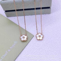 Designer High Version Van Necklace High Version V Gold CNC Plum Blossom White Fritillaria Exquisite Live Broadcast Light Luxury