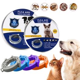 Dog Flea Collar And Tick For Cat Pet Safe Natural Ingredient Protection Anti-Mosquito Insect Repellent 8 Month Prevention Collars Adjustable One Size Fits All s