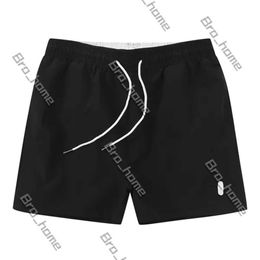 2024 Polo Mens Shorts Short Designer Shorts for Men Swim Swim Run Short Summer Casual Fashion New Brand Polo Shorts Trend Solid Color Embroidered Loose Beach Pants 744