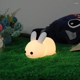 Night Lights Touch Silicone Dimmable USB Rechargeable Lamps For Children Baby Gifts Cartoon Cute Animal Lamp