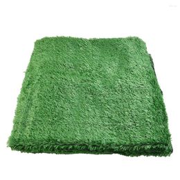 Decorative Flowers 2 2m Artificial Grassland Grass Carpet Garden Landscape Lawn Mat Turf DIY Micro Home Floor Decor