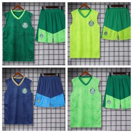 2024 25 Palmeiras Soccer Jerseys Tracksuits SUIT 2024 New BRENO LOPES R.VEIGA DEYVERSON football training suit