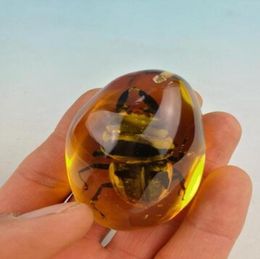Rare amber beetle amber beetle Pendant0123456789103703383
