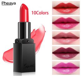 10 Colours New Sexy Women Makeup Lip Stick Long Lasting Nude Lipstick Matte Lip Gloss Makeup waterproof Beauty Lips Coametics9654329