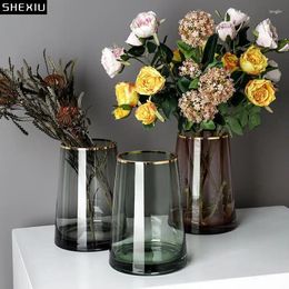 Vases Modern Transparent Glass Vase Flower Arrangement Room Decoration Gold-plated Bottle Mouth Hydroponic Home