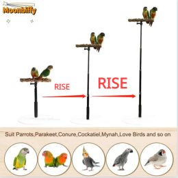 Perches 1pcs Retractable Bird Out Shelf Bird Perch Pepper Wood Stand Rod Telescopic Stand Pole Bird Cage Convenient Parrot Rack Outdoor