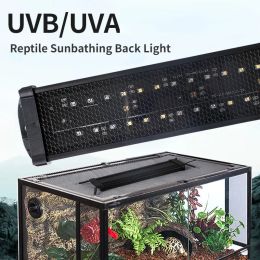 Lighting Reptile UVA+UVB Full Spectrum LED UV Lamp 10.0/20.0 Turtle Lizard Snake Light Terrarium Lamp for Reptile Vivarium Calcium Supply