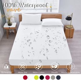 100% Waterproof Fitted Bed Sheet with Elastic Band Anti-slip Cover Mattress Protector for Single Double King Queen160 180 200 240506