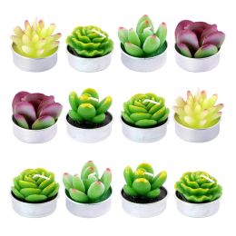 Holders New 12Pcs Decorative Succulent Plants Tealight Candles Kit Cute Smokeless Candles Perfect for Festival Wedding Props House Party