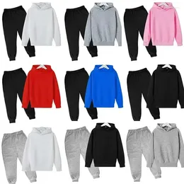 Clothing Sets Boys Girls Hoodies Casual Wear Suit Sportswear Solid Color Pullover Pants Suits Children's Clothes 2024 Autumn And Winter