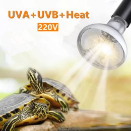 Lighting Turtle Light Bulb For Lizard Heating Lamp For Reptiles UVA Tortoise Accessories Egg Brooder Heat Warm Terrarium Reptile UVB Bulb