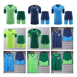 24 25 Palmeiras tracksuit 2024 2025 Palmeiras Sportswear training suit Short sleeved suit soccer Jersey kit uniform chandal adult sweatshirt vest sets
