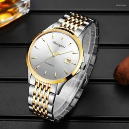 Wristwatches DIANPAI Fully Automatic Mechanical Watch Simple And Lightweight Men's Original Stainless Steel Strap
