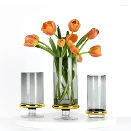 Vases Gold Plated Glass Vase Transparent Hydroponic Flower Pots Desk Decoration Artificial Decorative Floral Arrangement