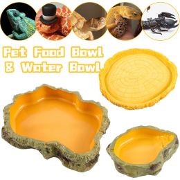 Supplies Reptile Food and Water Bowl Turtle Habitat Tortoise Feeder Large and Small Plates for Lizard Chameleon Iguana Snake Gecko