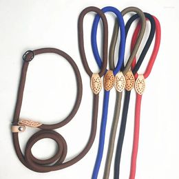 Dog Collars Anti-riot P Chain Traction Nylon Stitched Leather Pet Leash Lengthened Thickened Training Rope Outdoor Walking Accessories