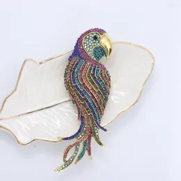 Brooches Vintage Cute Colourful Parrot Brooch Alloy Rhinestone Animal Women's Fashion Jewellery