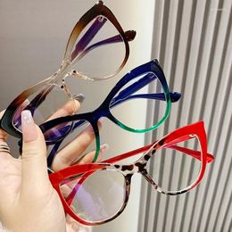 Sunglasses 2024 Women's Anti Blue Light Glasses Cat Eye Flat Mirror Irregular Gradient Colour Personalised Eyeglass Frame